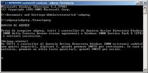 win2003_upgrade_adprep_it_02